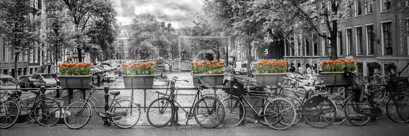 frei wählbarer Bildausschnitt für Ihr Bild auf Fensterfolie