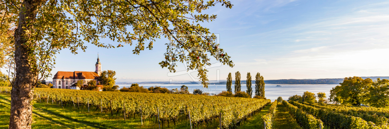 frei wählbarer Bildausschnitt für Ihr Bild auf Fensterfolie