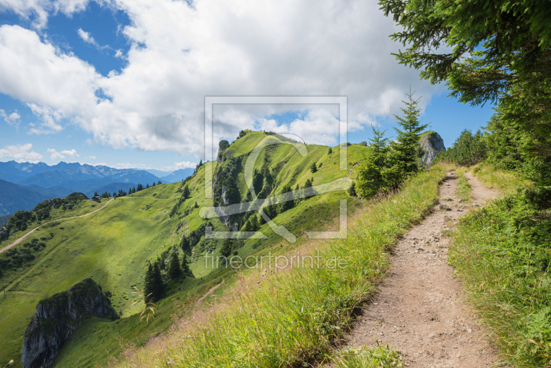 frei wählbarer Bildausschnitt für Ihr Bild auf Fensterfolie