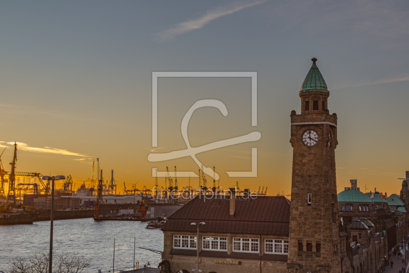 frei wählbarer Bildausschnitt für Ihr Bild auf Fensterfolie