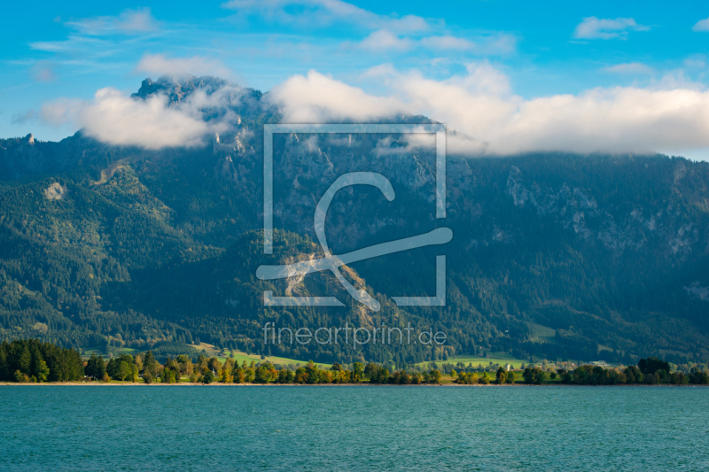 frei wählbarer Bildausschnitt für Ihr Bild auf Fensterfolie