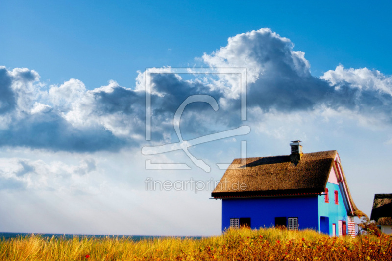 frei wählbarer Bildausschnitt für Ihr Bild auf Fensterfolie