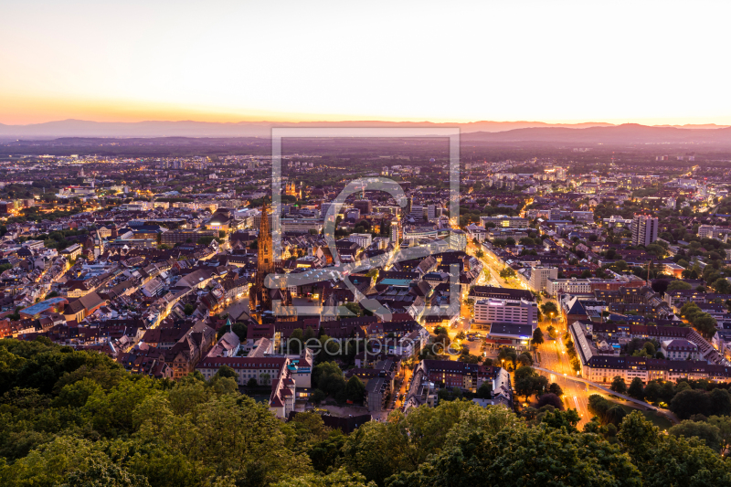 frei wählbarer Bildausschnitt für Ihr Bild auf Fensterfolie
