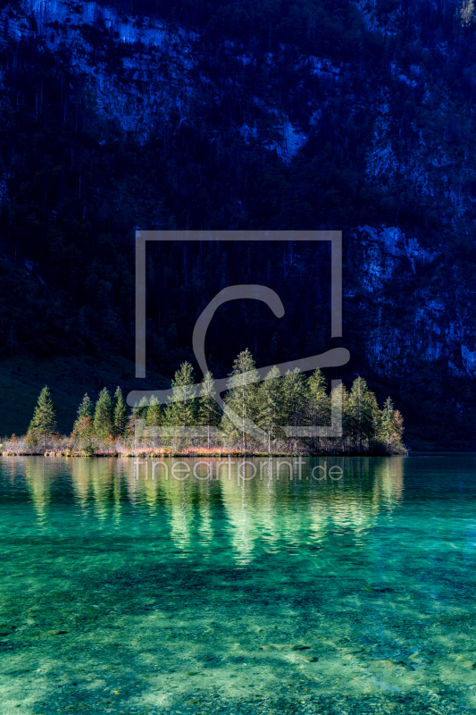 frei wählbarer Bildausschnitt für Ihr Bild auf Fensterfolie