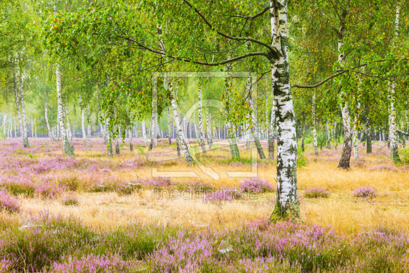 frei wählbarer Bildausschnitt für Ihr Bild auf Fensterfolie