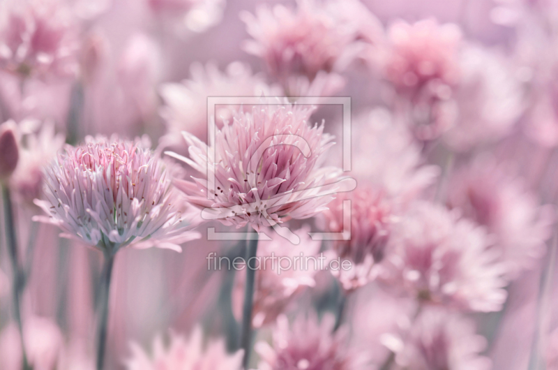 frei wählbarer Bildausschnitt für Ihr Bild auf Fensterfolie