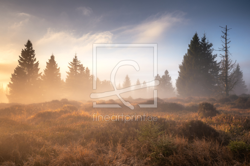 frei wählbarer Bildausschnitt für Ihr Bild auf Fensterfolie