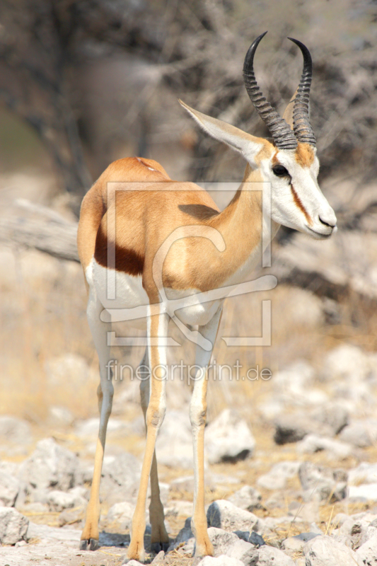 frei wählbarer Bildausschnitt für Ihr Bild auf Fensterfolie
