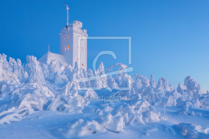 frei wählbarer Bildausschnitt für Ihr Bild auf Fensterfolie