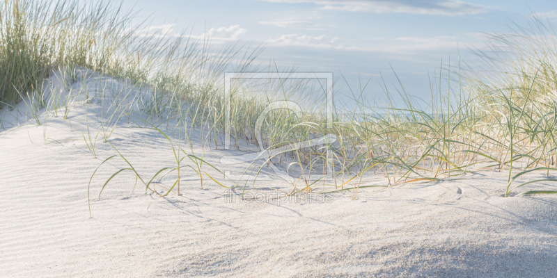 frei wählbarer Bildausschnitt für Ihr Bild auf Fensterfolie