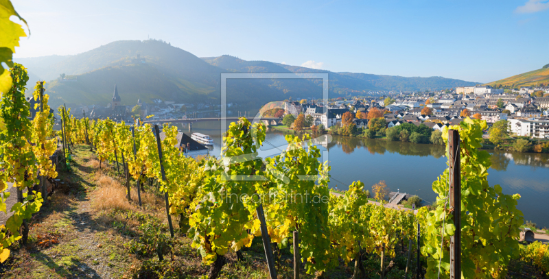 frei wählbarer Bildausschnitt für Ihr Bild auf Fensterfolie