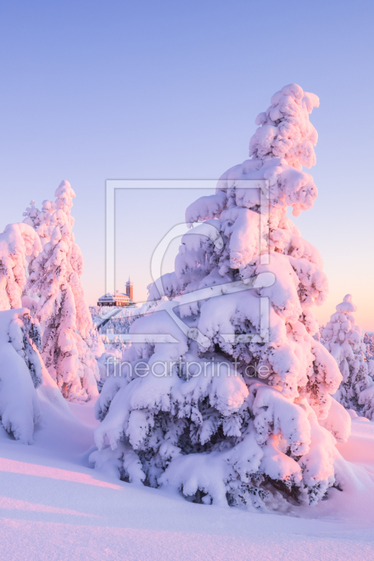 frei wählbarer Bildausschnitt für Ihr Bild auf Fensterfolie
