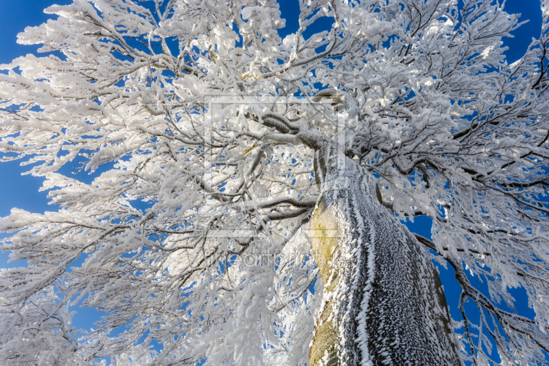 frei wählbarer Bildausschnitt für Ihr Bild auf Fensterfolie