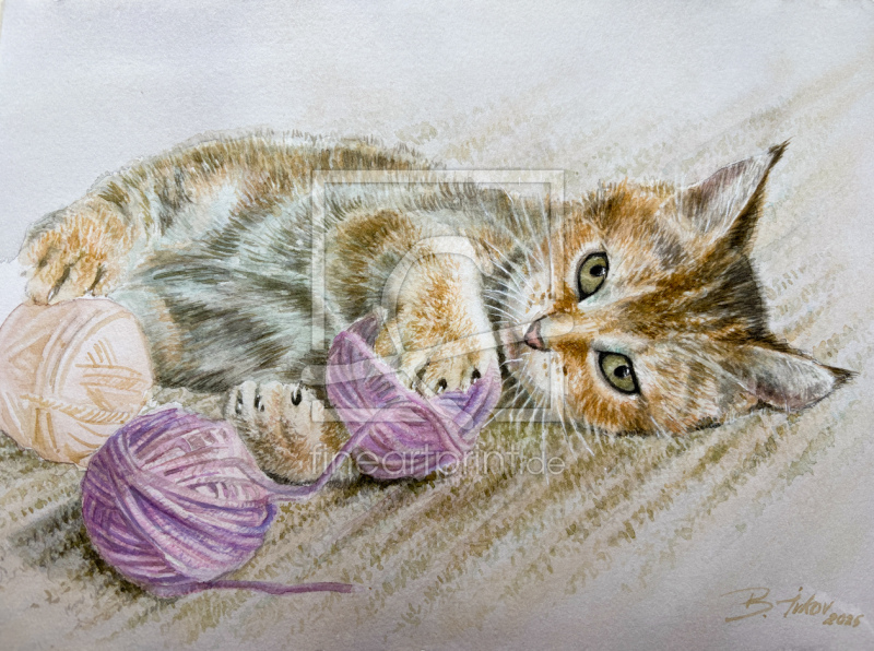 frei wählbarer Bildausschnitt für Ihr Bild auf Fensterfolie