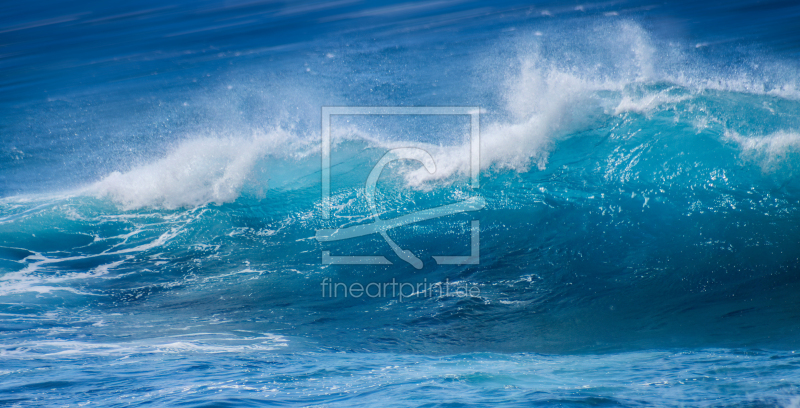 frei wählbarer Bildausschnitt für Ihr Bild auf Fensterfolie