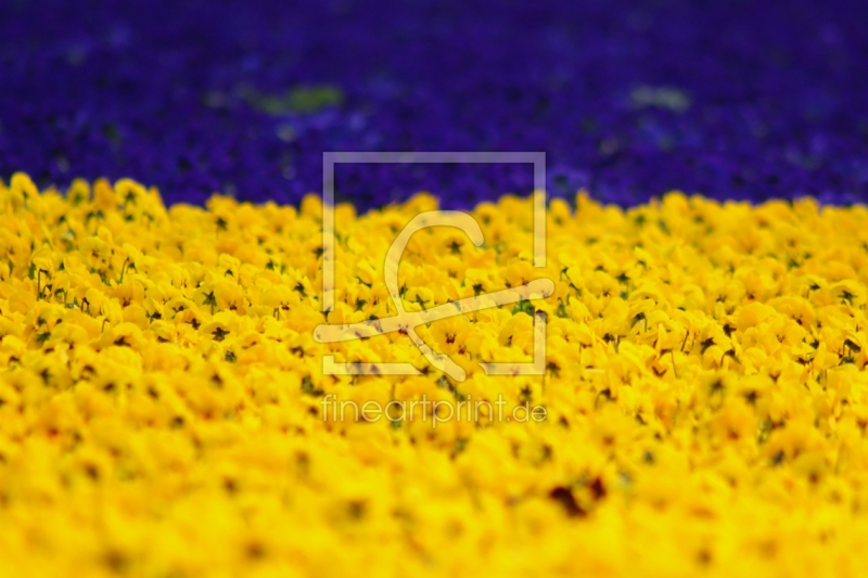 frei w&auml;hlbarer Bildausschnitt f&uuml;r Ihr Bild auf Glas-Schneidebrett