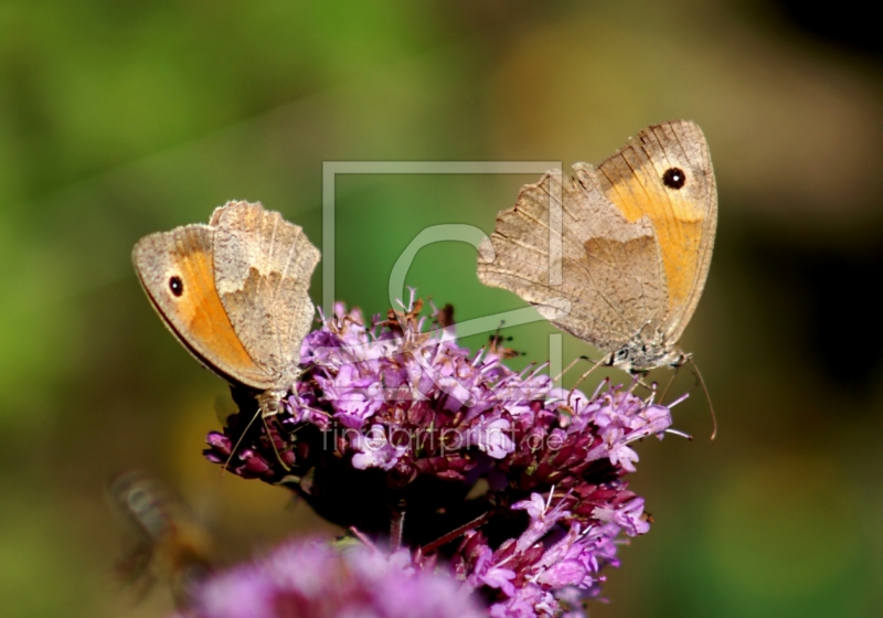 frei w&auml;hlbarer Bildausschnitt f&uuml;r Ihr Bild auf Glas-Schneidebrett