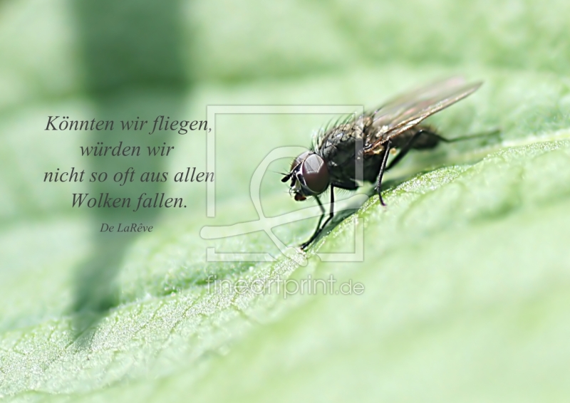 frei w&auml;hlbarer Bildausschnitt f&uuml;r Ihr Bild auf Glas-Schneidebrett