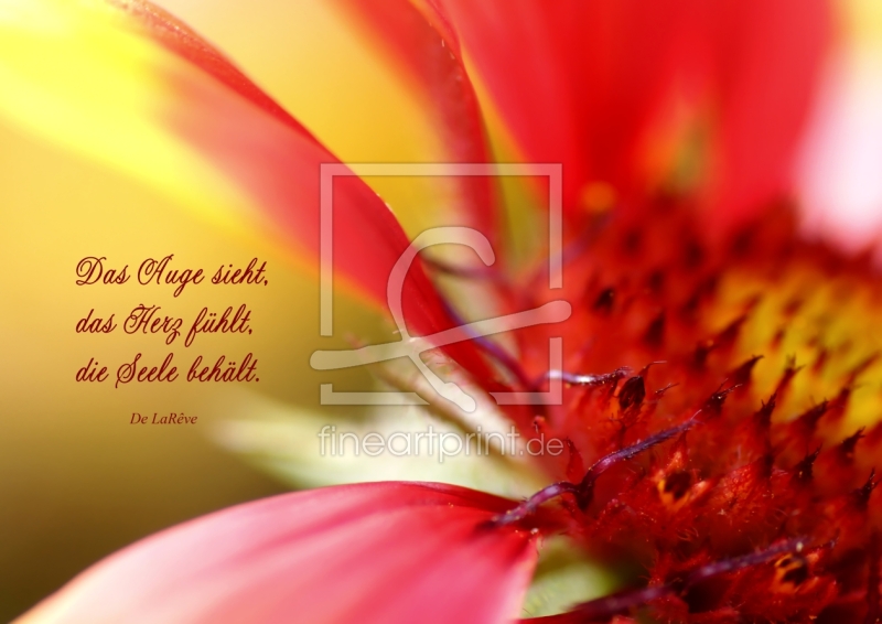 frei w&auml;hlbarer Bildausschnitt f&uuml;r Ihr Bild auf Glas-Schneidebrett