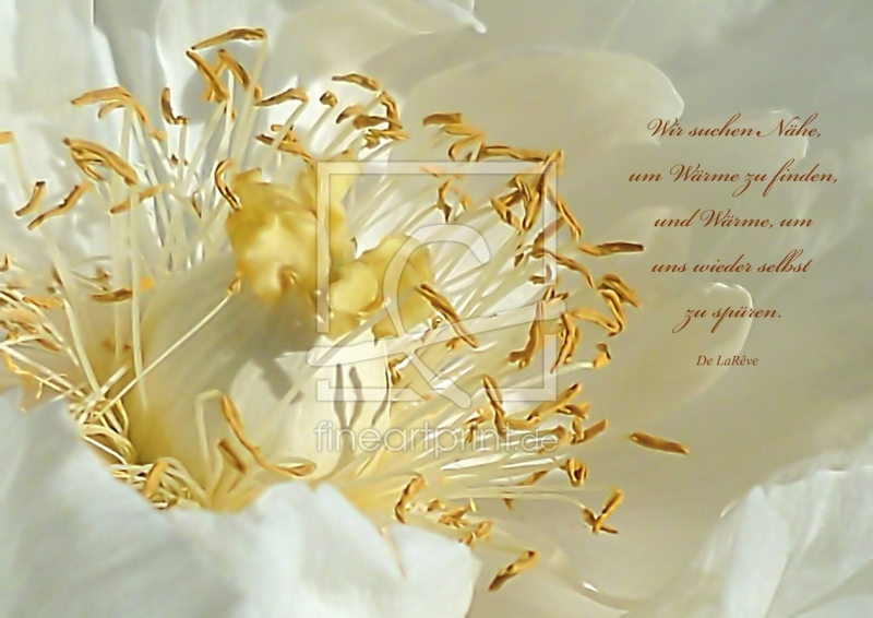 frei w&auml;hlbarer Bildausschnitt f&uuml;r Ihr Bild auf Glas-Schneidebrett