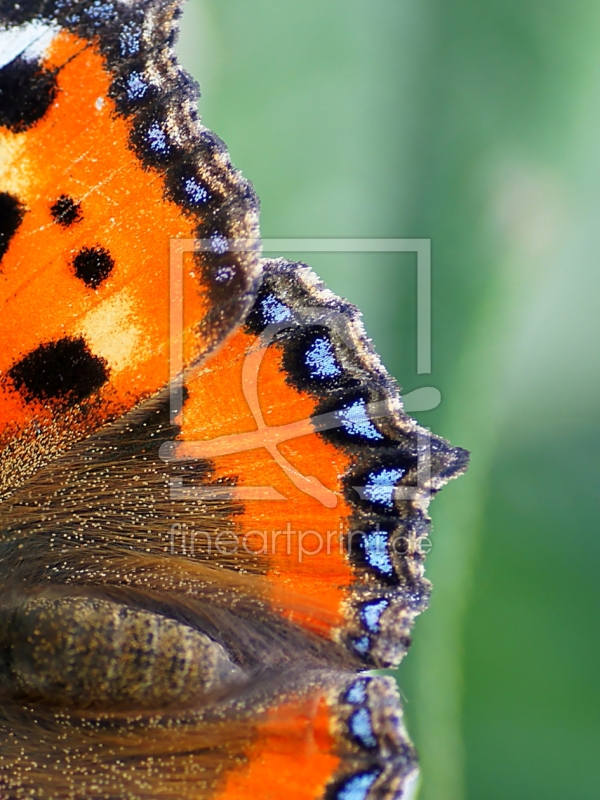 frei w&auml;hlbarer Bildausschnitt f&uuml;r Ihr Bild auf Glas-Schneidebrett