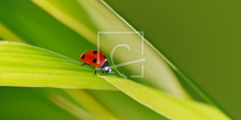 frei w&auml;hlbarer Bildausschnitt f&uuml;r Ihr Bild auf Glas-Schneidebrett