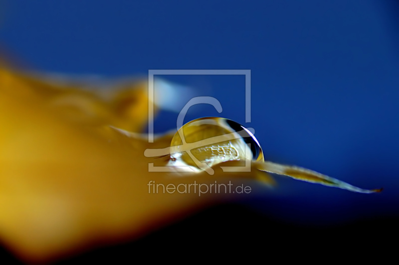 frei w&auml;hlbarer Bildausschnitt f&uuml;r Ihr Bild auf Glas-Schneidebrett