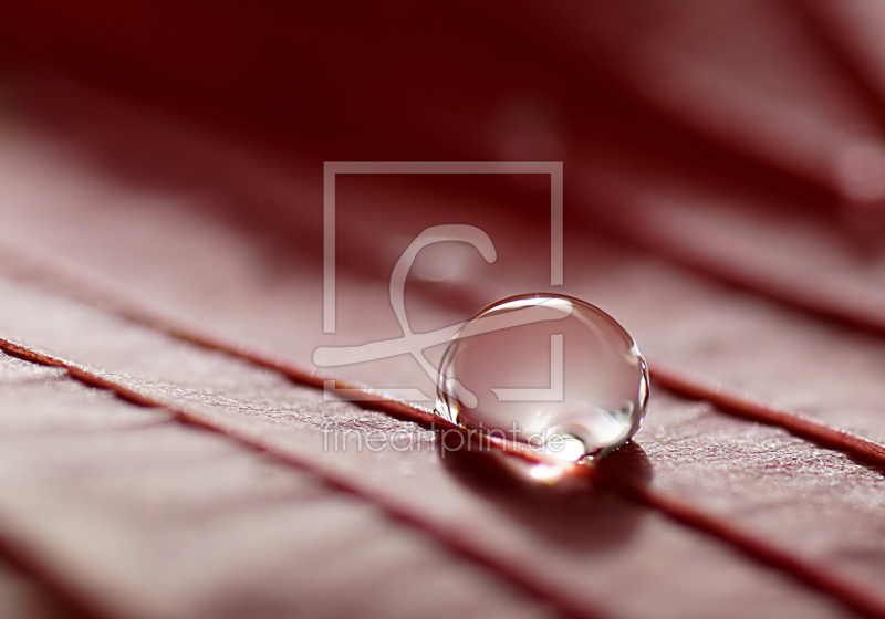 frei w&auml;hlbarer Bildausschnitt f&uuml;r Ihr Bild auf Glas-Schneidebrett