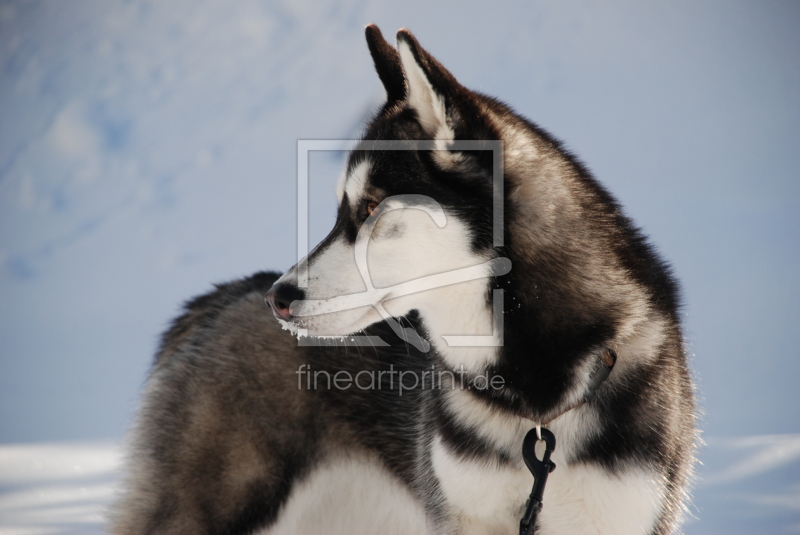 frei w&auml;hlbarer Bildausschnitt f&uuml;r Ihr Bild auf Glas-Schneidebrett