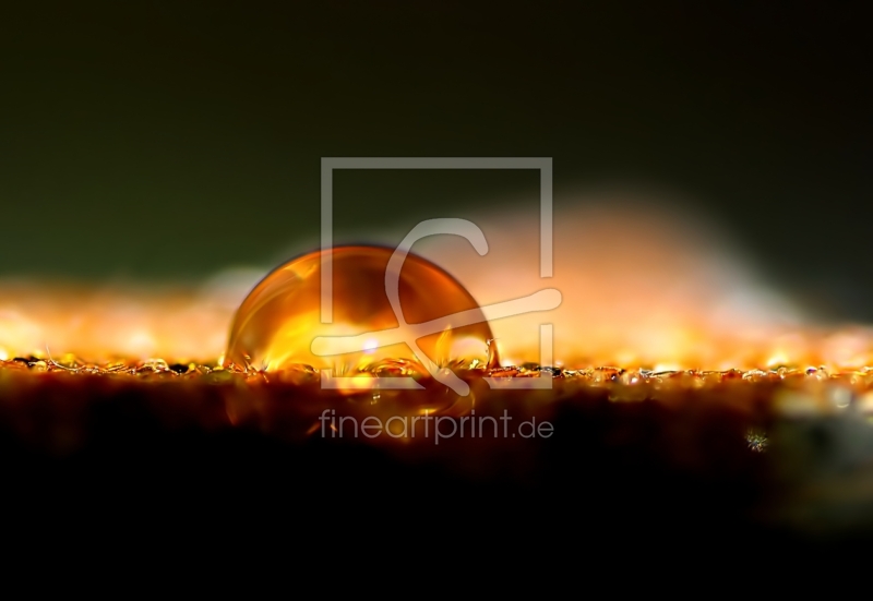 frei w&auml;hlbarer Bildausschnitt f&uuml;r Ihr Bild auf Glas-Schneidebrett