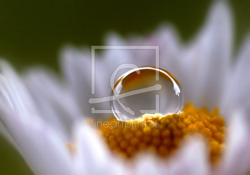 frei w&auml;hlbarer Bildausschnitt f&uuml;r Ihr Bild auf Glas-Schneidebrett