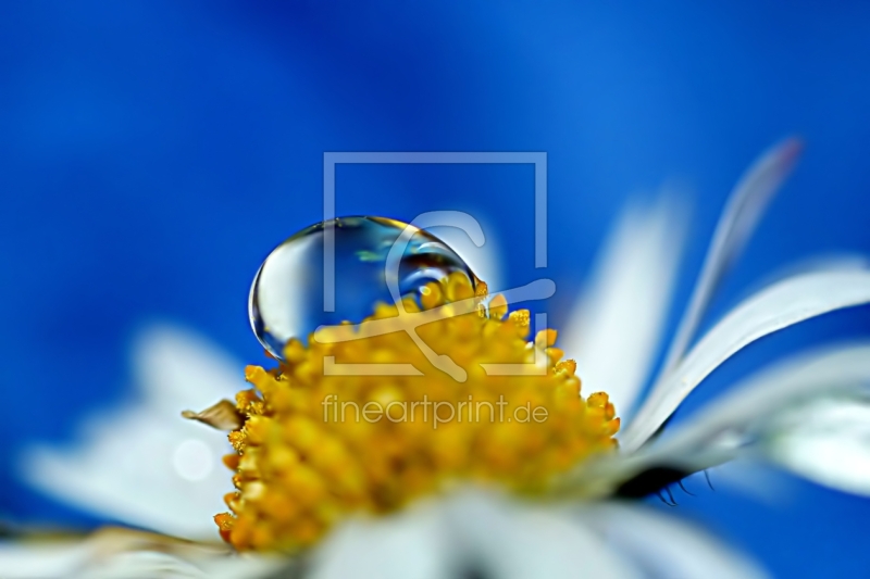 frei w&auml;hlbarer Bildausschnitt f&uuml;r Ihr Bild auf Glas-Schneidebrett
