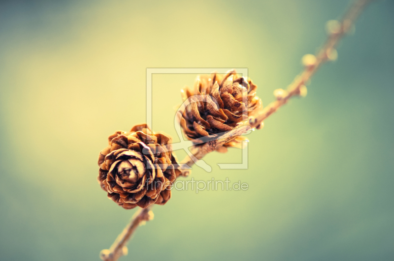 frei w&auml;hlbarer Bildausschnitt f&uuml;r Ihr Bild auf Glas-Schneidebrett