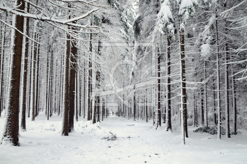 frei w&auml;hlbarer Bildausschnitt f&uuml;r Ihr Bild auf Glas-Schneidebrett