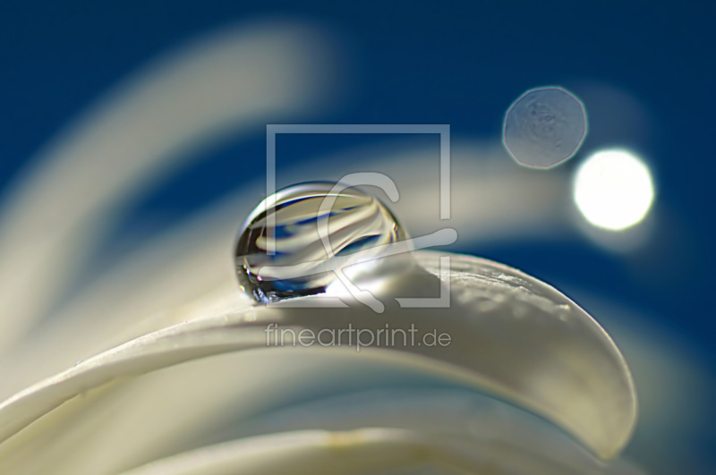 frei w&auml;hlbarer Bildausschnitt f&uuml;r Ihr Bild auf Glas-Schneidebrett