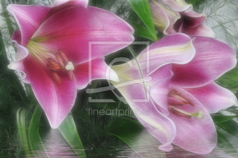 frei w&auml;hlbarer Bildausschnitt f&uuml;r Ihr Bild auf Glas-Schneidebrett