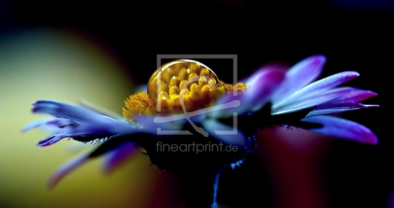 frei w&auml;hlbarer Bildausschnitt f&uuml;r Ihr Bild auf Glas-Schneidebrett