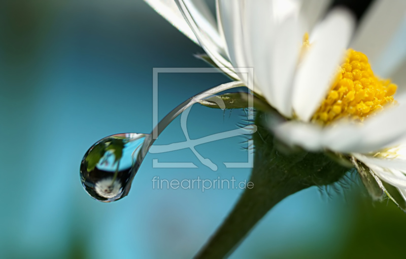 frei w&auml;hlbarer Bildausschnitt f&uuml;r Ihr Bild auf Glas-Schneidebrett
