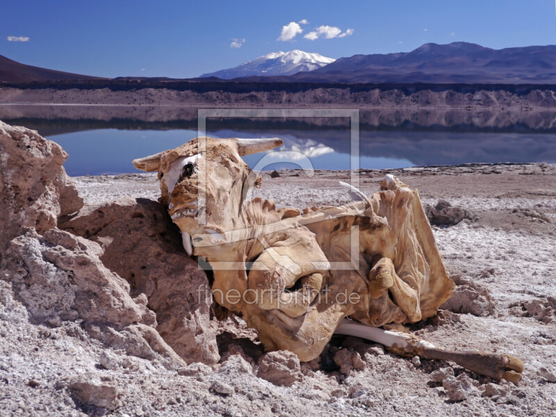 frei w&auml;hlbarer Bildausschnitt f&uuml;r Ihr Bild auf Glas-Schneidebrett