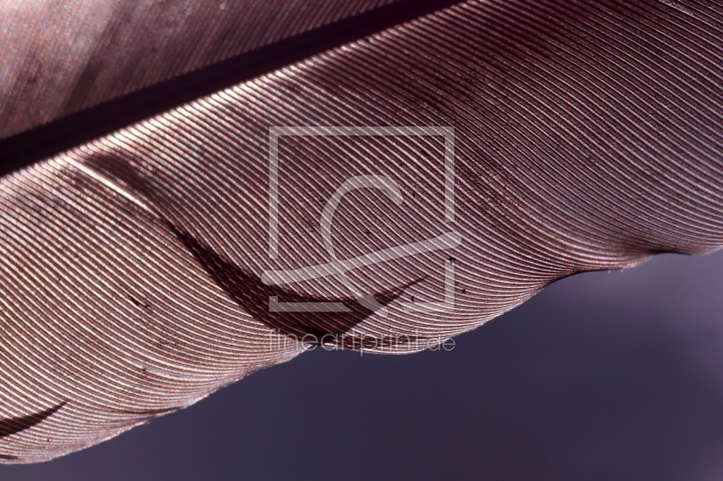 frei w&auml;hlbarer Bildausschnitt f&uuml;r Ihr Bild auf Glas-Schneidebrett