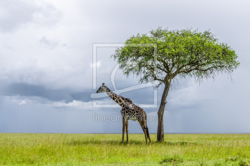 frei w&auml;hlbarer Bildausschnitt f&uuml;r Ihr Bild auf Glas-Schneidebrett