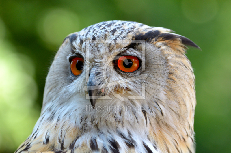 frei w&auml;hlbarer Bildausschnitt f&uuml;r Ihr Bild auf Glas-Schneidebrett