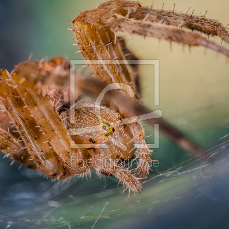 frei w&auml;hlbarer Bildausschnitt f&uuml;r Ihr Bild auf Glas-Schneidebrett