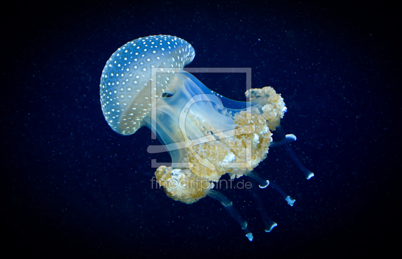 frei w&auml;hlbarer Bildausschnitt f&uuml;r Ihr Bild auf Glas-Schneidebrett