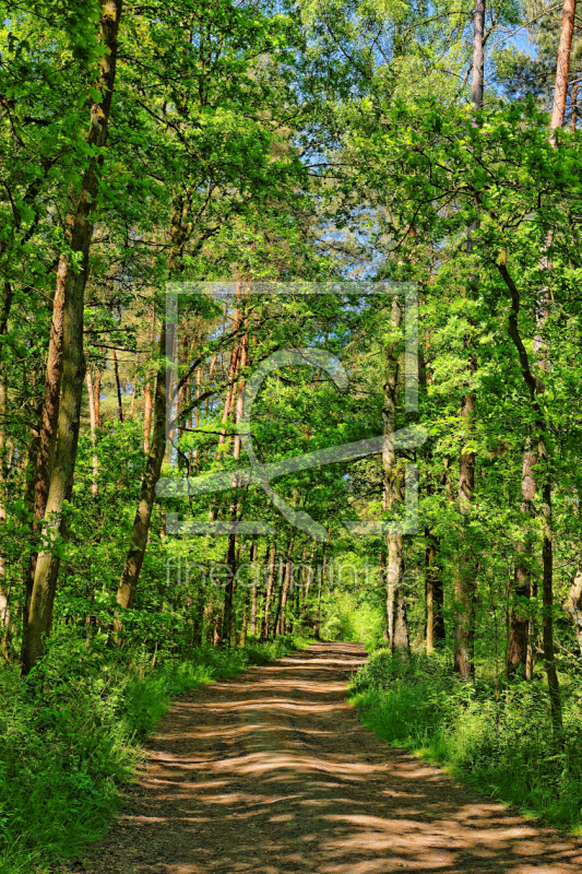 frei w&auml;hlbarer Bildausschnitt f&uuml;r Ihr Bild auf Glas-Schneidebrett