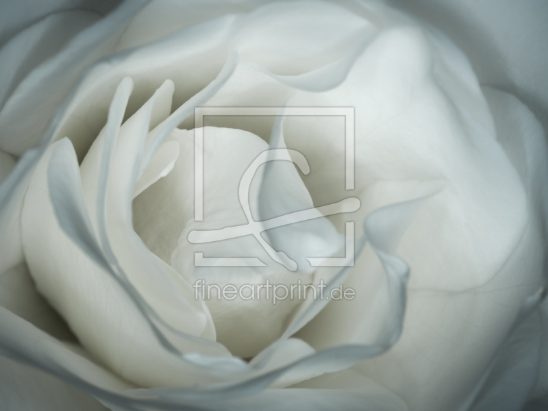 frei w&auml;hlbarer Bildausschnitt f&uuml;r Ihr Bild auf Glas-Schneidebrett