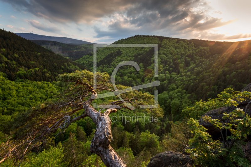 frei w&auml;hlbarer Bildausschnitt f&uuml;r Ihr Bild auf Glas-Schneidebrett