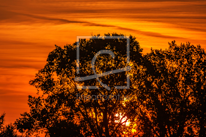 frei w&auml;hlbarer Bildausschnitt f&uuml;r Ihr Bild auf Glas-Schneidebrett