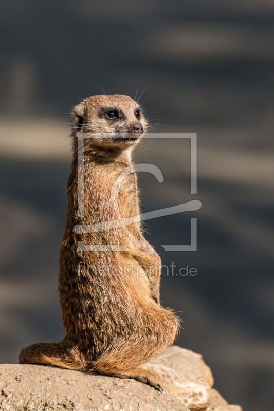 frei w&auml;hlbarer Bildausschnitt f&uuml;r Ihr Bild auf Glas-Schneidebrett