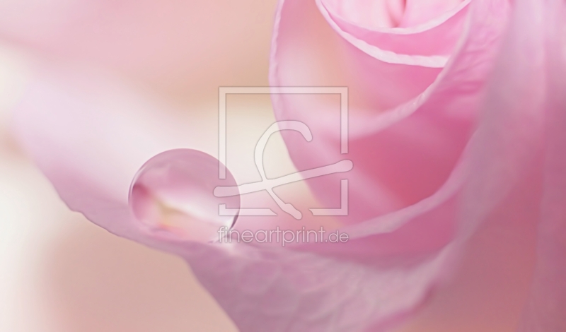 frei w&auml;hlbarer Bildausschnitt f&uuml;r Ihr Bild auf Glas-Schneidebrett